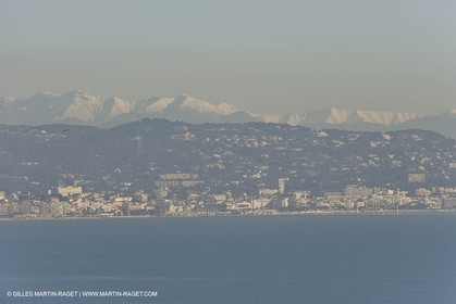 06 02 2008 - Théoule sur mer (FRA, 06) - Mimoses in full flower