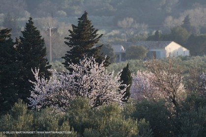 09 02 2008 - Les Baux de Provence (FRA, 13) - Alpilles hills landscapes