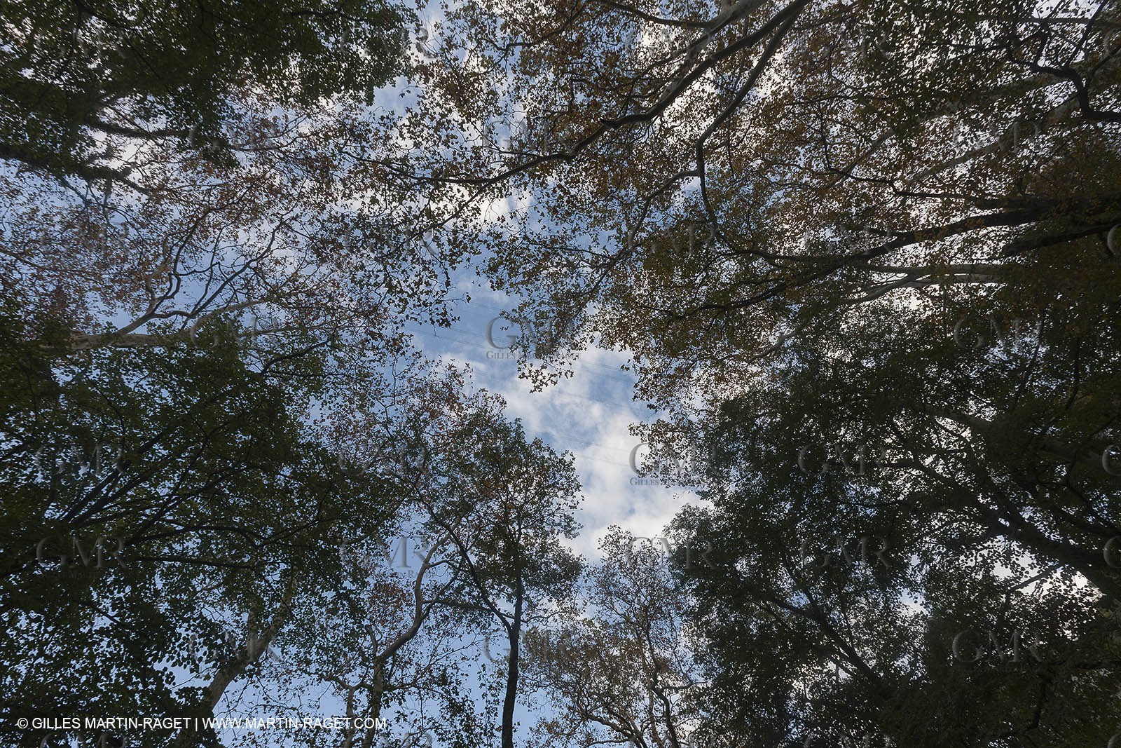 23 10 2012 - Gemenos (FRA) - Départemental Park of Saint Pons valley