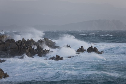 23 04 2008 - Santa teresa di Gallura (ITA, Sardaigne) - Coup de Mistral sur la côte du cap Testa