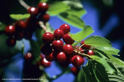 Vaucluse (FRA,84), Les villages du Luberon