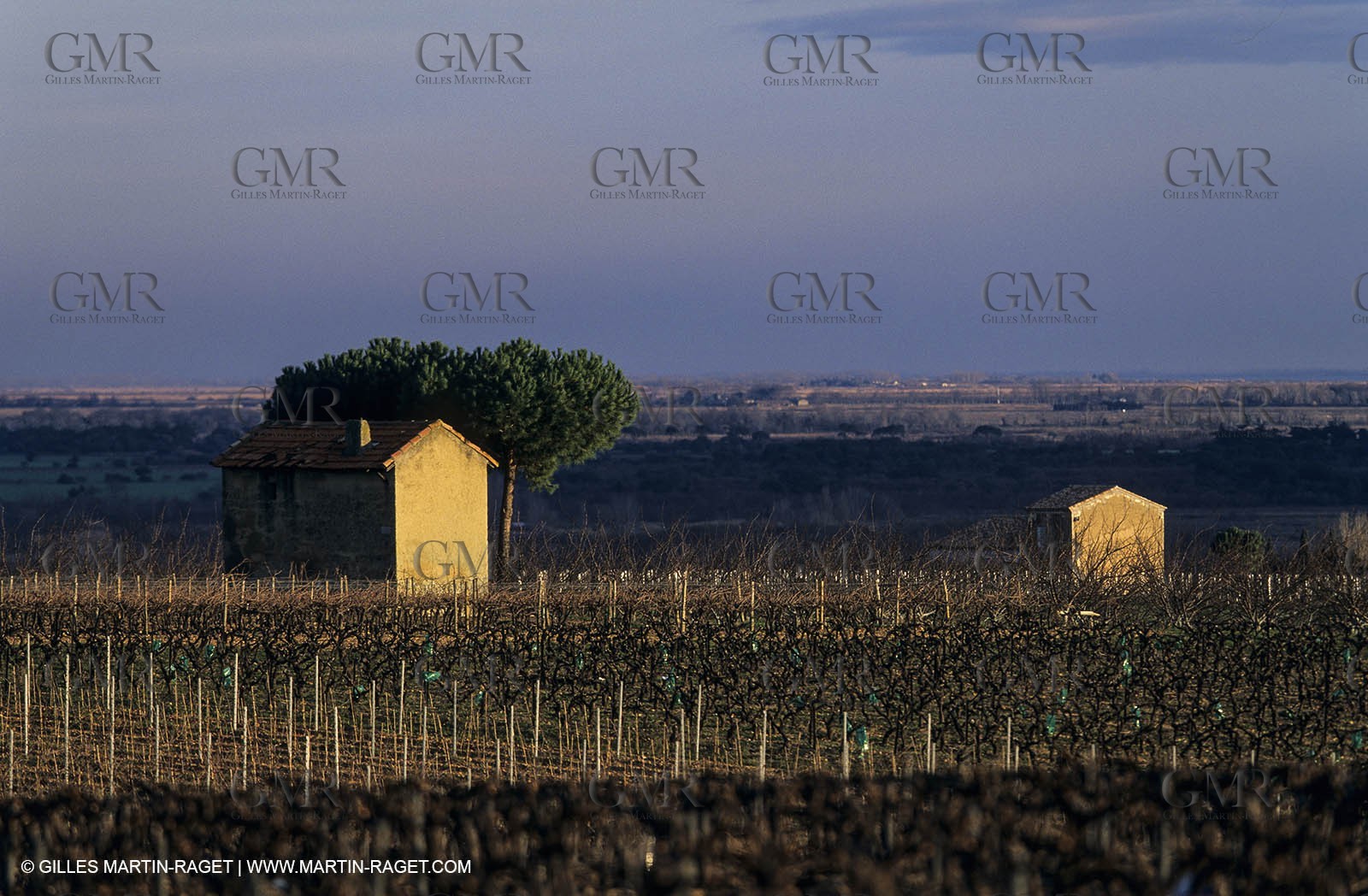 Paysages de Nîmes Métropole (FRA,30) -Costières
