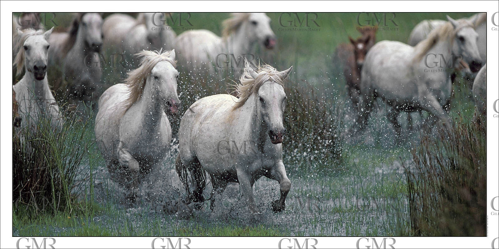 Product: in house made quality print on 8 ultrachome colors Epson ink Jet printer.Available sizes: . 30x40 cm. 50x70 cm. 80x120 cmAvailable papers: . Standard 250 gr glossy paper print, black streak, white margin, no signature. Top quality glossy 290 gr. paper, black streak, white margin, checked and signed by the author. Fine Art print (signed, numbered, stamped, registered) on demand. Other supports (Canvas, Acrylic, Metal) on demandPackaging: cylindric reinforced tubeShipping options: regular mail or Shipping companyClick on the basket icon to select your options and start the online ordering process