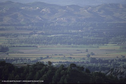 France, Provence, paysage des Alpilles, Alpilles landscapes