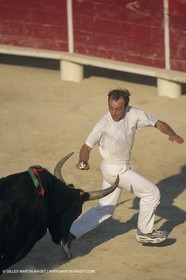 France, Provence, Camargue, course libre, bull games