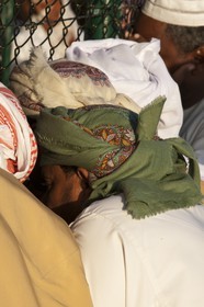 20 11 2010 - Dubai (UAE) - Camel races