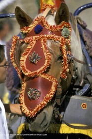 Saint Rémy de Provence - Fêtes de la careto ramado
