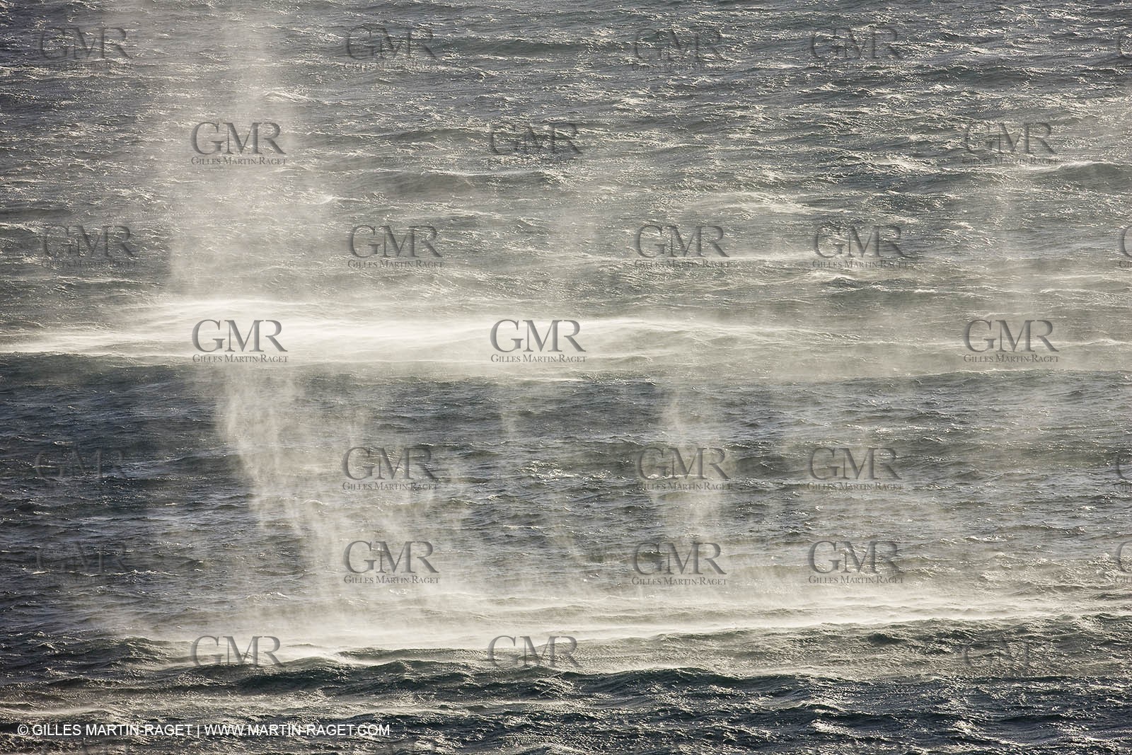 11 03 2009 - Marseille (FRA, 13) - Calanques - Marseilleveyre area