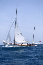 Dorade