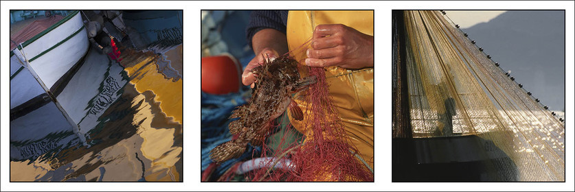 Produit : Tirage photo réalisé par nos soins sur imprimante jet d'encre professionnelle Epson à partir de 8 encres ultrachrome inaltérables (label Digigraphie).Formats au choix :. 20 x 60 cm. 33 x 95 cm- 52 x 150 cmChoix des papiers :. Papier standard brillant 250 gr., filet noir, marge blanche, tirage non signé. Papier haut de gamme satiné 290 gr. filet noir, marge blanche, tirage vérifié et signé par l'auteur.. Autres supports (canvas, acrylique, dibond) sur demandeConditionnement : tube cylindrique renforcé.Options pour l'expédition : . colissimo + dépôt boîte aux lettres (France uniquement). Colissimo avec signature à réception. Transporteur express (2 jours ouvrés) avec signature à réceptionCliquez sur caddie pour sélectionner votre formule et démarrer la procédure de commande en ligne