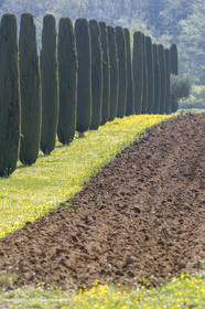 19 04 2018, Lacoste (FRA,84)