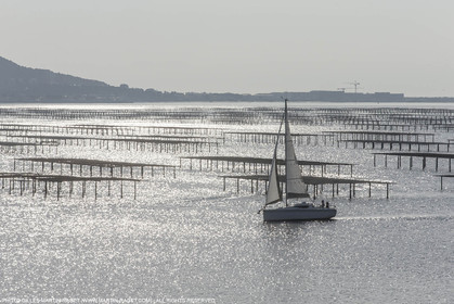 28 01 2016, Sète (FRA,34), Croisière sur le bassin de Thau