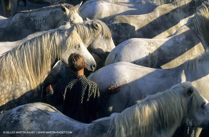 Camargue (FRA,13) - Gardians
