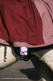 Arles (FRA,13) - Costume from Arles Fest