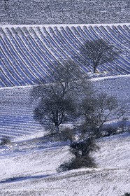 Provence under snow