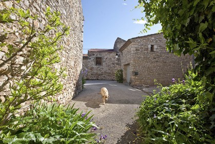 28 04 2009 - Montagnac - Commune de Ste Anastasie (FRA, 30) - Atlas Nîmes Métropole - campagne 2009