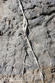 27 03 2009 - Marseille (FRA, 13) - Les Calanques - Morgiou
