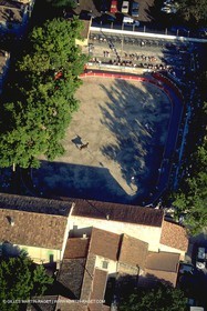 Camargue Bull game