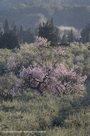 09 02 2008 - Les Baux de Provence (FRA, 13) - Alpilles hills landscapes