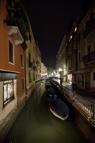 VNZFEBD1_0085.jpg