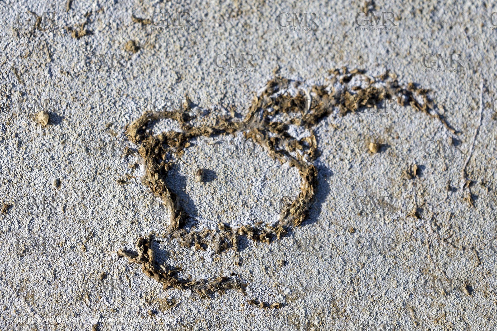 23 10 2014, Salins de Giraud (FRA,13), Salt & Speed 2014, Charlotte Consorti