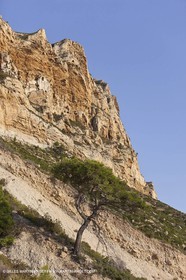 08 09 2009 - Marseille (FRA, 13) - Les Calanques - Cape Canaille and Soubeyrannes cliffs