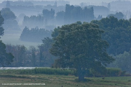 June 24th 2008 - Saint Rémy de Provence (FRA,13) - Alpilles hills landscapes