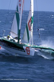 RhuMulti35.jpg