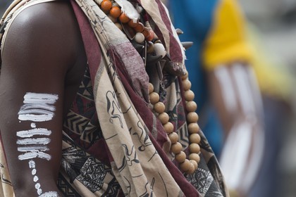 08 11 2014, Capetown (ZAF), Volvo Ocean Race 2014-15, Team Alvimedica, Nursing the boat