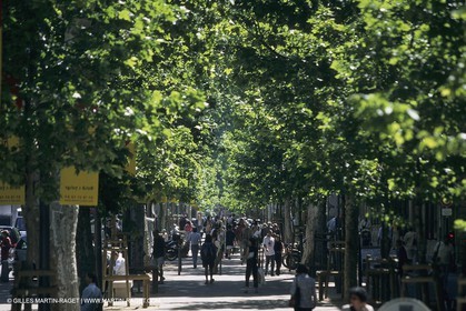 France,Provence, Aix en Provence, Cours Mirabeau