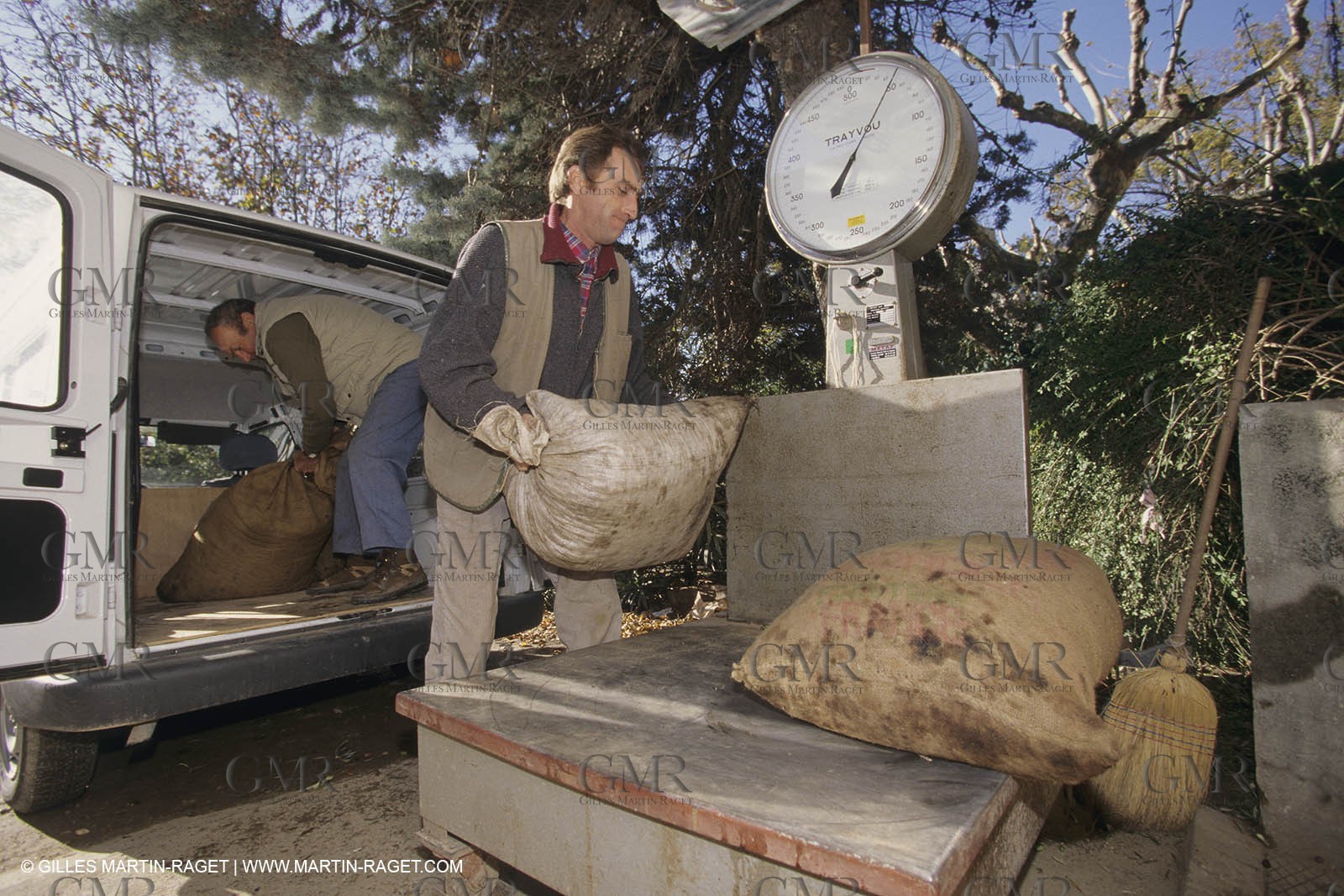 France, Provence, Alpilles, AOC Vallée des Baux, olive trees fields, olive oil production