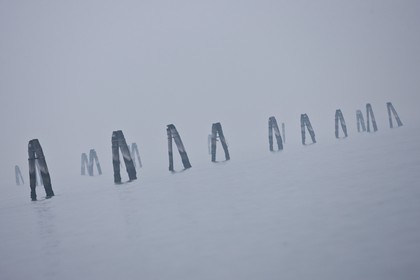 VNZFEBD1_0207.jpg