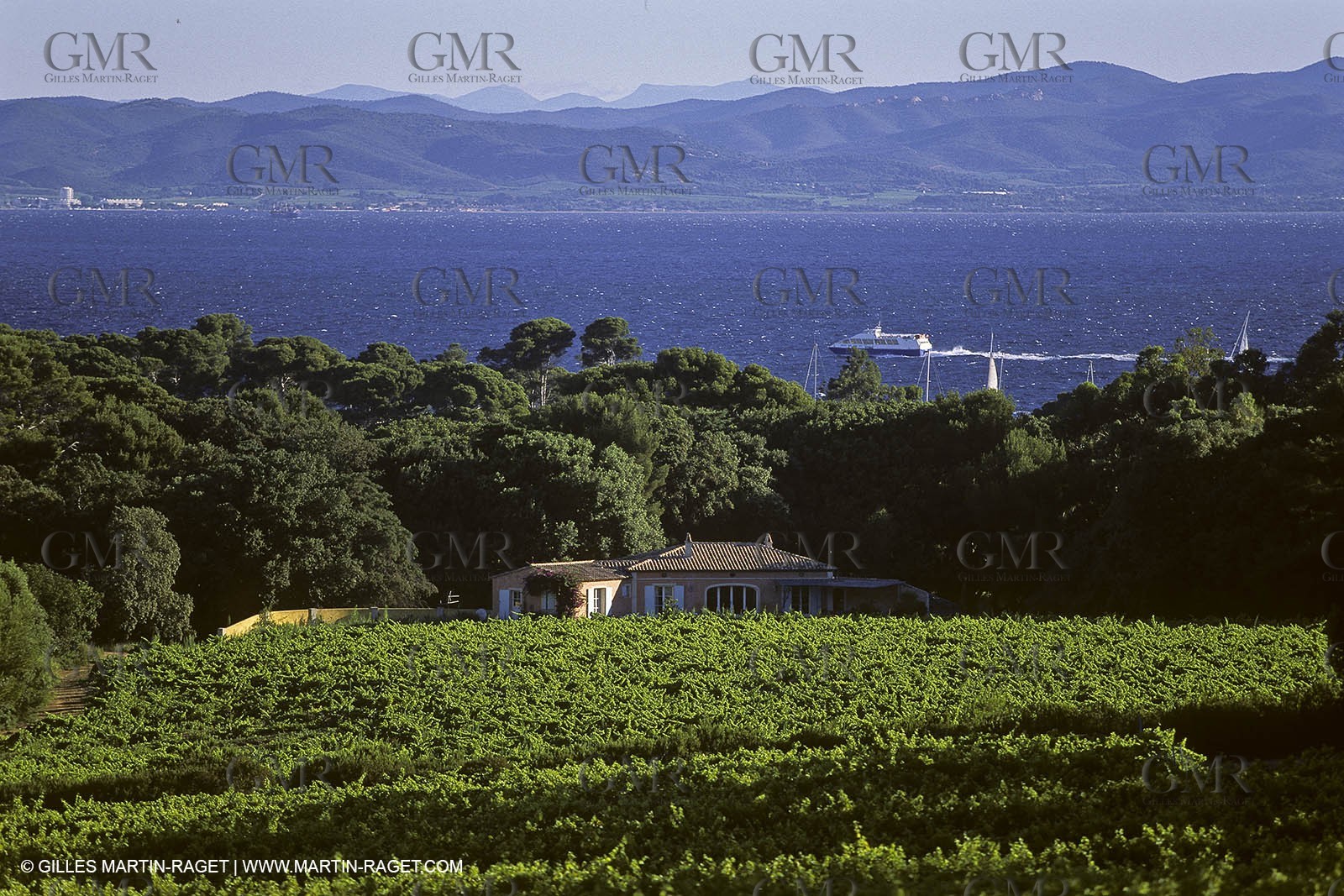 France - Var - 83 - Hyeres islands - Porquerolles