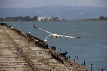 07 06 2011 - San Francisco (USA,CA) - 34th America's Cup - The Piers in their state of origin - Pier 23