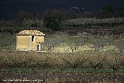 Luberon en hiver vers Saint Saturnin les Apts (FRA,84)