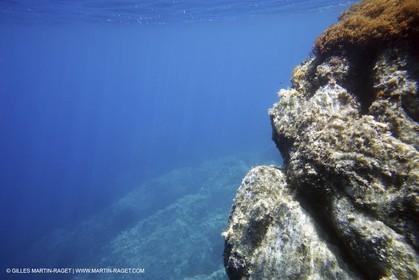 Apnée - plongée - Port Cros 2005