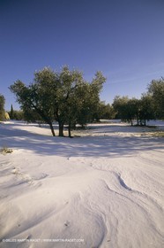 France, Provence, Neige en hiver   Snow in Provence