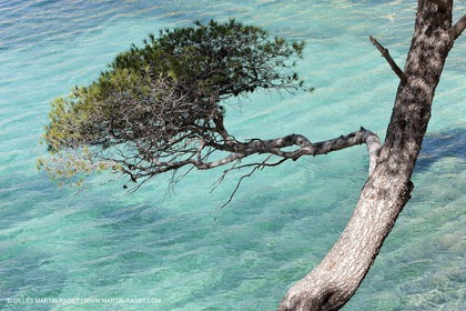 27 05 2009 - Marseille (FRA, 13) - Les Calanques - Sormiou