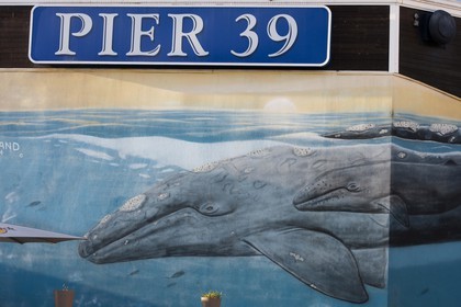 07 01 2011 - San Francisco (USA,CA) - The piers - Pier 39