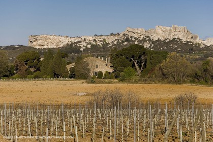 27 03 2008 - Les Baux de Provence (FRA-13) - Paysage des Alpilles