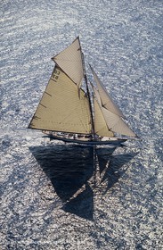 Tuiga