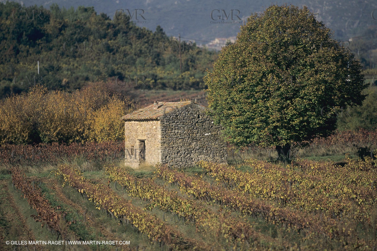 France, Provence, Pays d'Aix en Provence, vignoblmes des coteaux d'Aix, Côtes de Provence