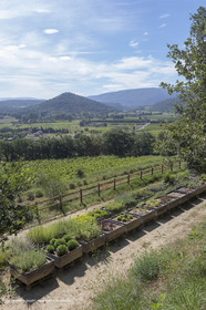 22 06 2018, Ménerbes (FRA,84), Domaine de la Citadelle, Jardin Botanique