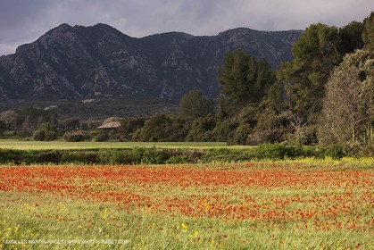 29 04 2012 ( Saint Rémy de Provence (FRA, 13) - Chaîne des Alpilles vers Romanin