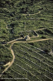 Alpilles and Montagnette hills