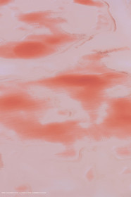 Marais salants à Aigues Mortes