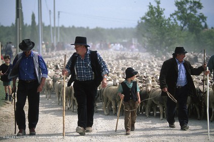 Saint Rémy de Provence (FRA,13) - Fête de la Transhumance