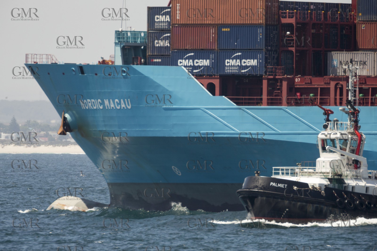 12 11 2014, Capetown (ZAF), Volvo Ocean Race 2014-15, Team Alvimedica goes back training