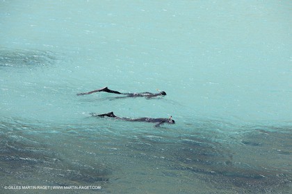 27 05 2009 - Marseille (FRA, 13) - Les Calanques - Sormiou