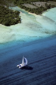 Polynesia